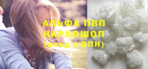 твердый Богданович
