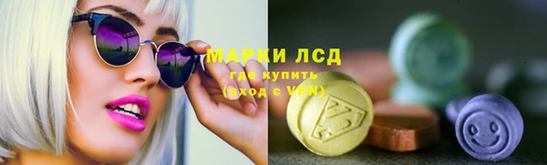 твердый Богданович