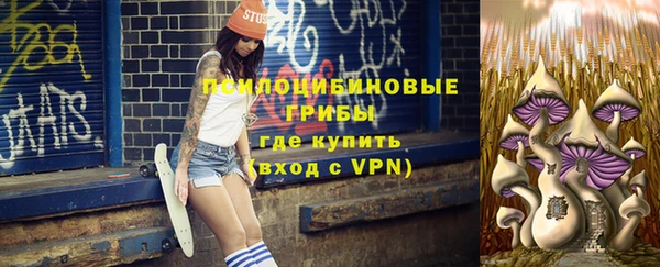 твердый Богданович