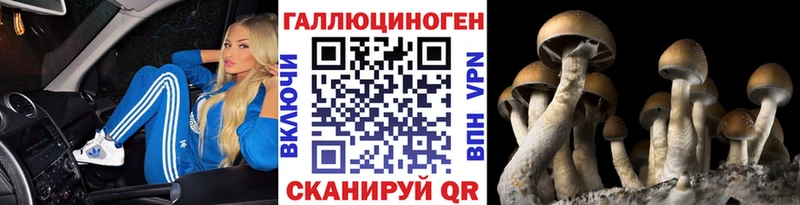 hydra как войти  Короча  Галлюциногенные грибы Magic Shrooms 